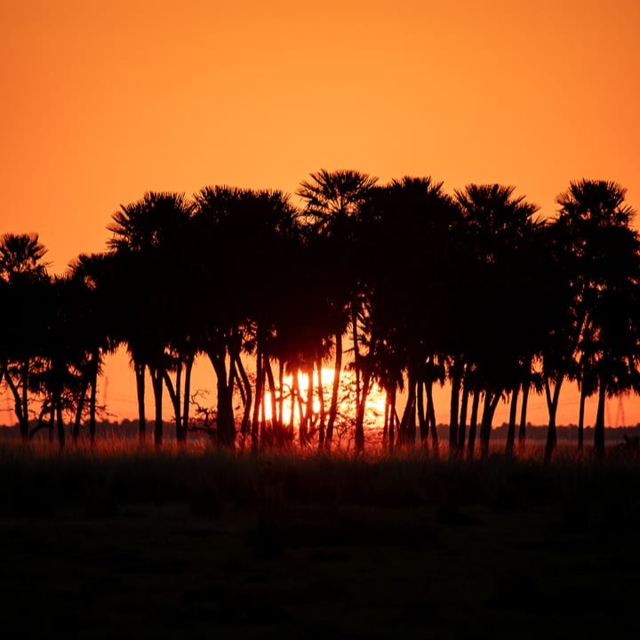 caminata por los esteros